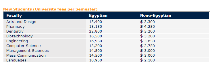 الحصول على تاشيرة قدوم الى مصر من السفارة المصرية بالسعودية