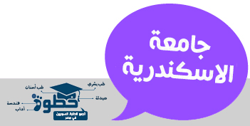 التاكد من استكمال الملفات لطلبة جامعة الاسكندرية